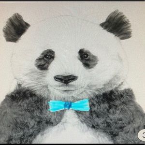 Meet your Posher, Panda